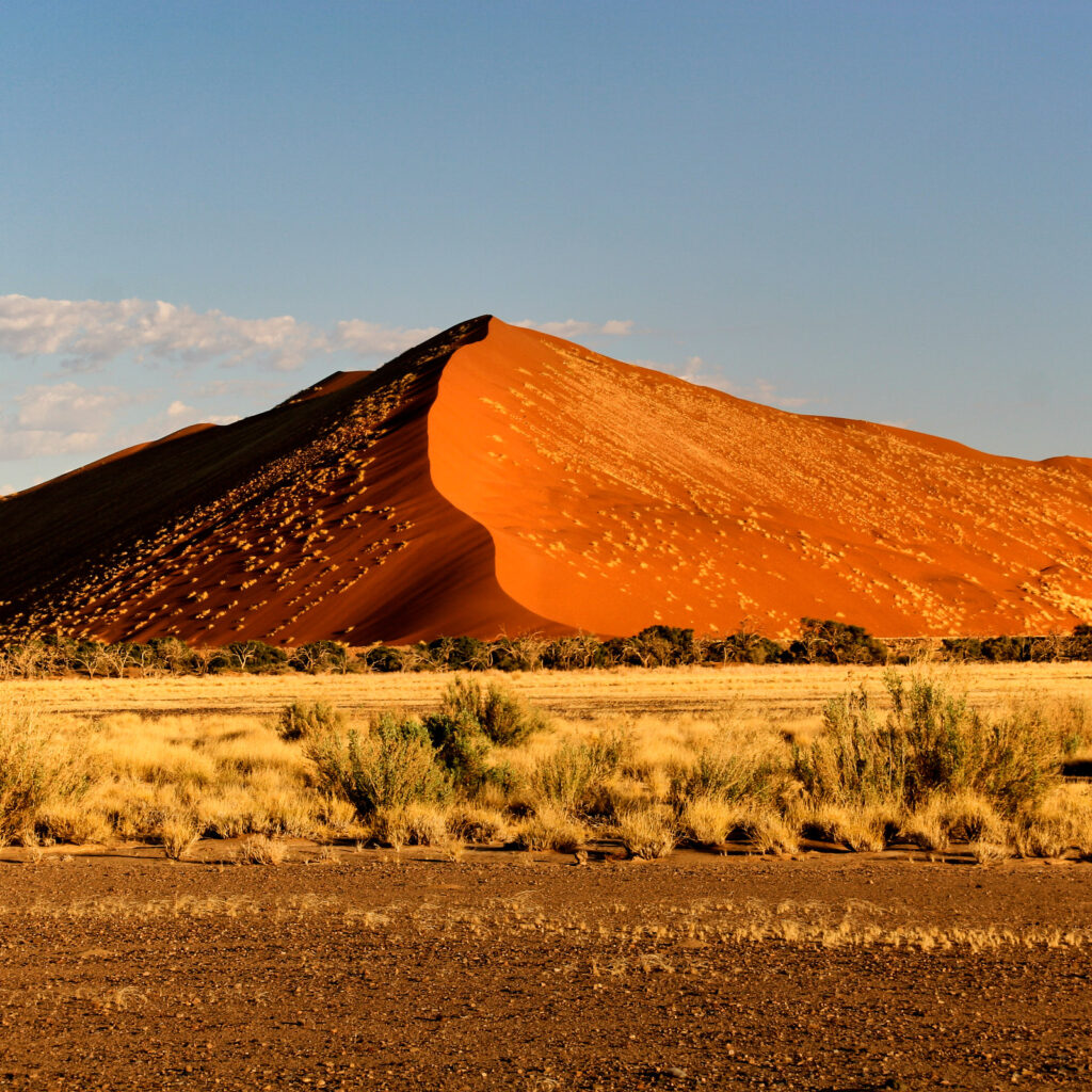 Rote Sanddüne unter blauem Himmel im Sussosvlei