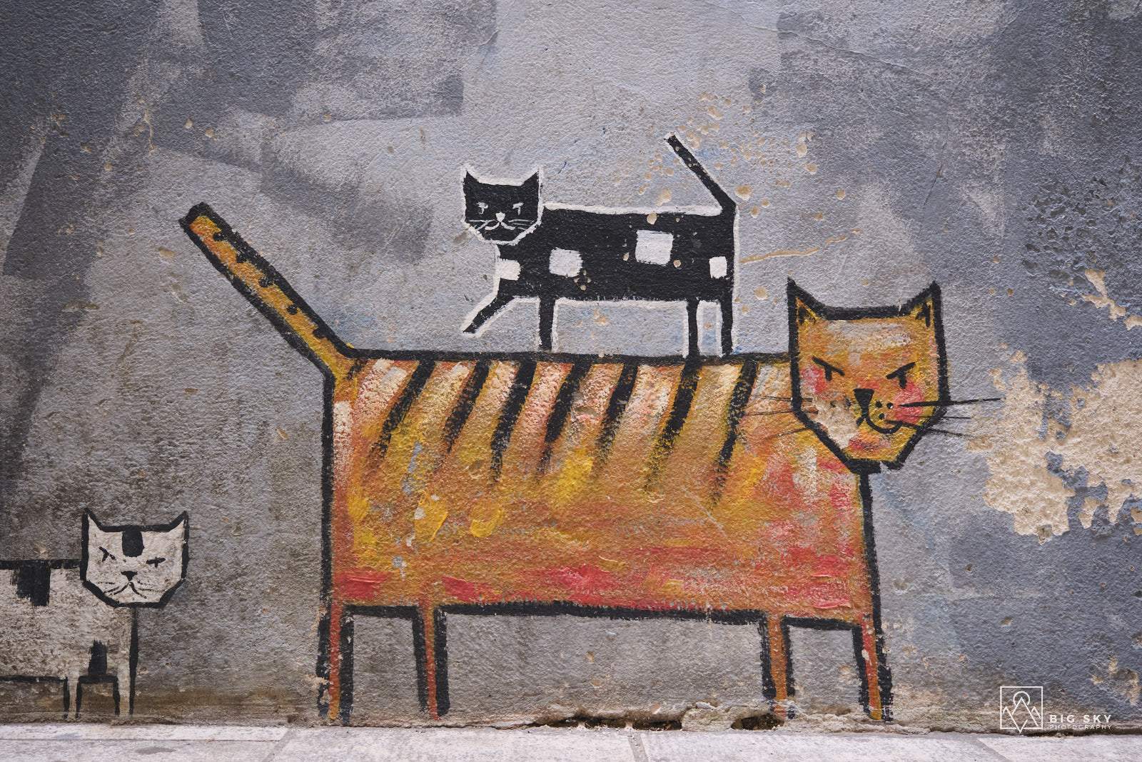 Graffito mit Katzen in Zadar