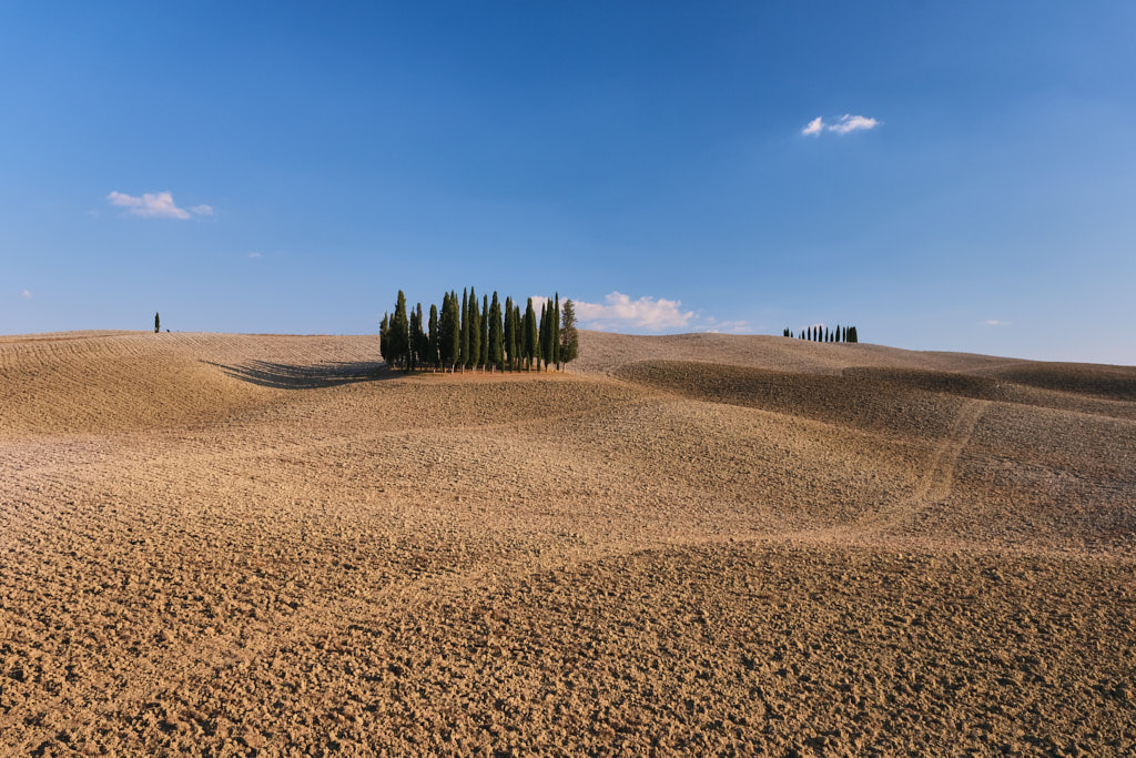 Toskanische Landschaft im Val d'Orcia mit blauem Himmel