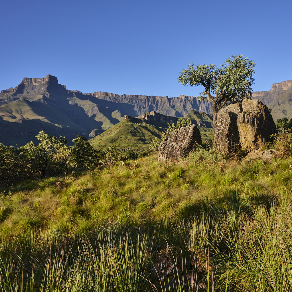 Blick auf das Amphitheater in den Drakensbergen in Südafrika