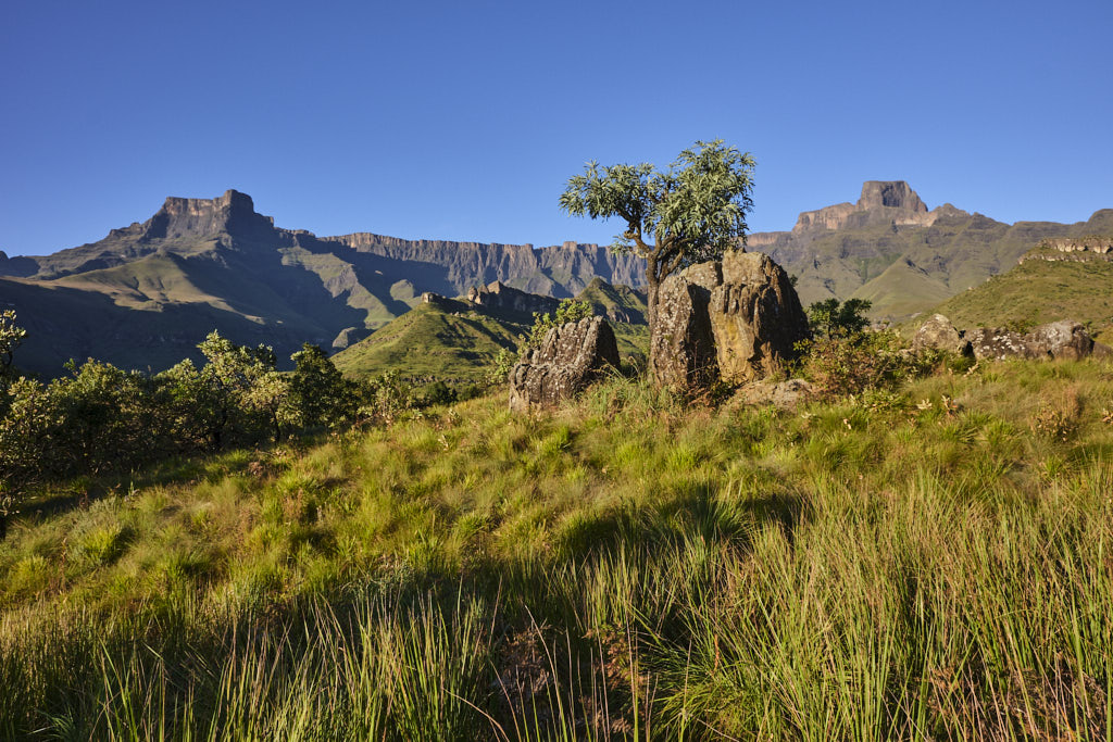 Blick auf das Amphitheater in den Drakensbergen in Südafrika