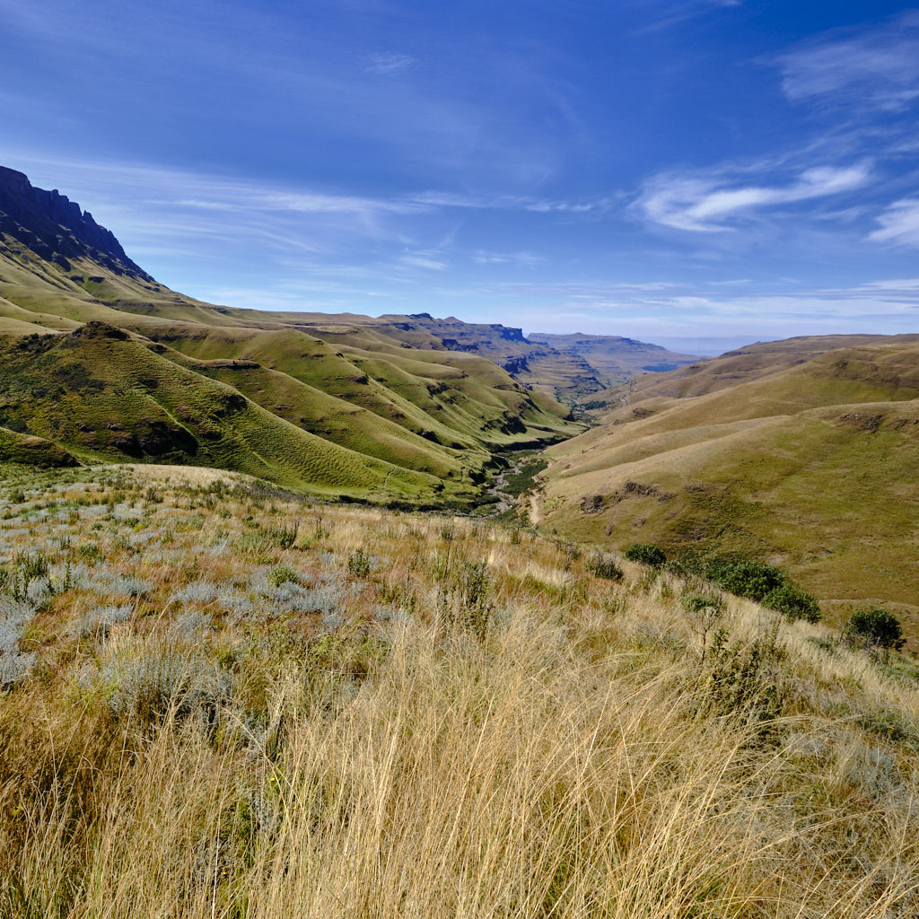 Blick auf die grünen Hügel des Sanipasses unter blauem Himmel in Kwazulu-Natal