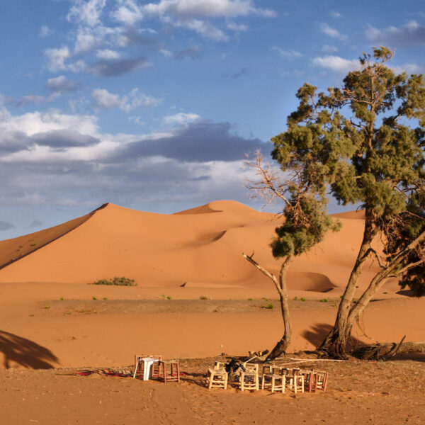 Abendstimmung in den Dünen des Erg Chebbi