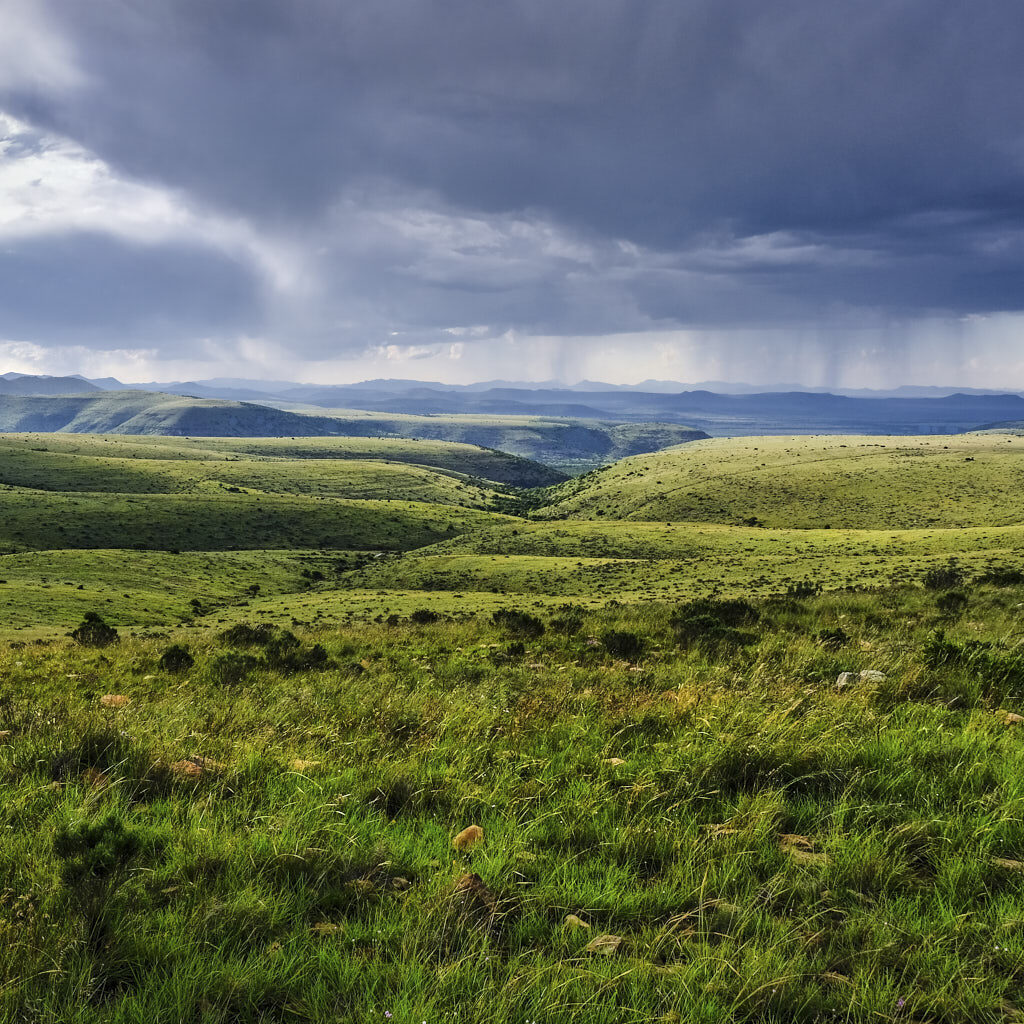 Abendgewitter über den grünen Hügeln des Mountain Zebra National Parks in Südafrika