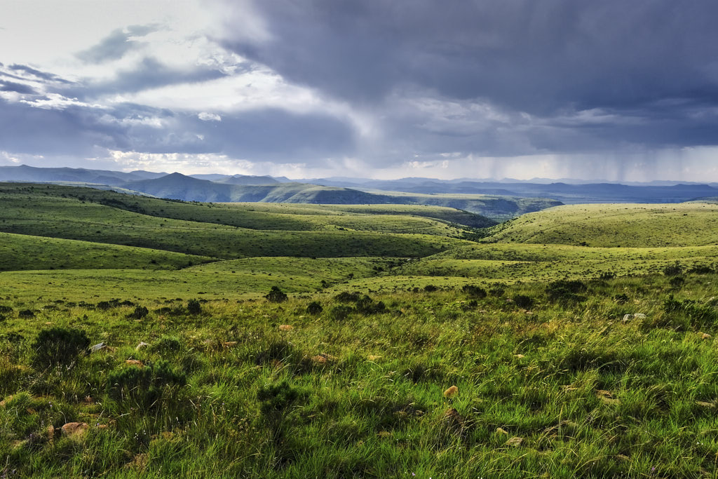 Abendgewitter über den grünen Hügeln des Mountain Zebra National Parks in Südafrika