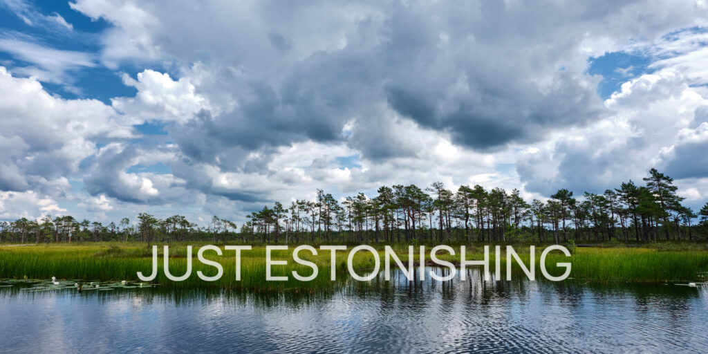 Der Soomaa-Nationalpark (übersetzt Sumpfland) beeindruckt mit ausgedehnten Mooren, umgeben von Wäldern, Flüssen, Überschwemmungswiesen und blumenreichen Waldwiesen