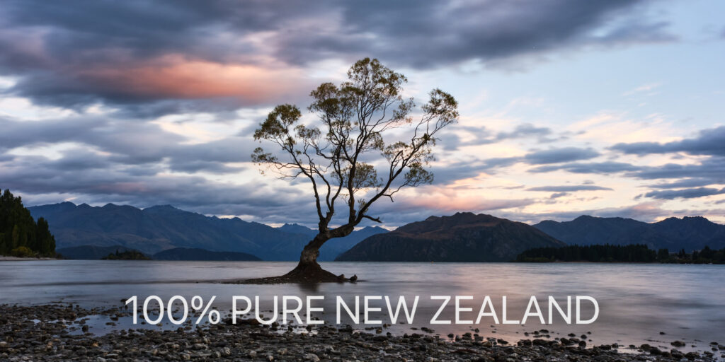 "That Wanaka Tree", die berühmte Bruchweide, die direkt im Wasser des Lake Wanaka auf der Südinsel Neuseelands steht und ursprünglich vor über 80 Jahren als Zaunpfahl gepflanzt wurde.