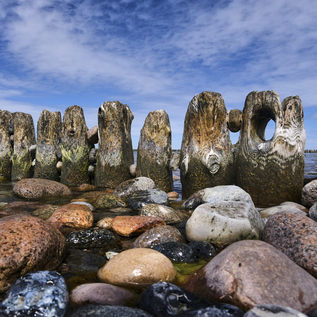 Steinufer mit Holzpalisaden unter blauem Himmel in Danske auf Rügen