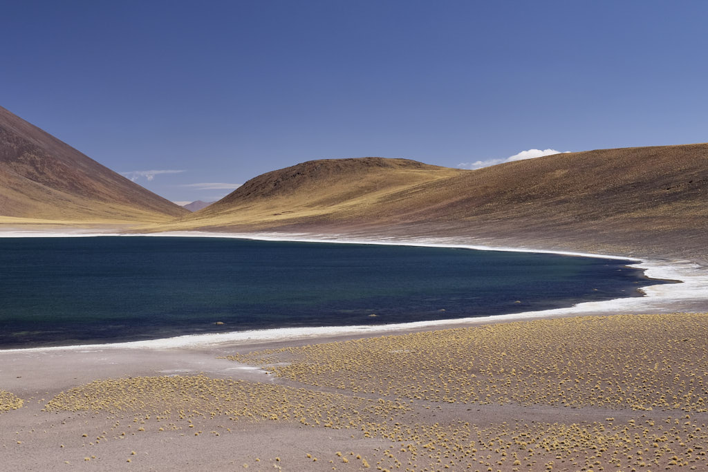 Lagunas Miscanti und Miñiques in Nordchile