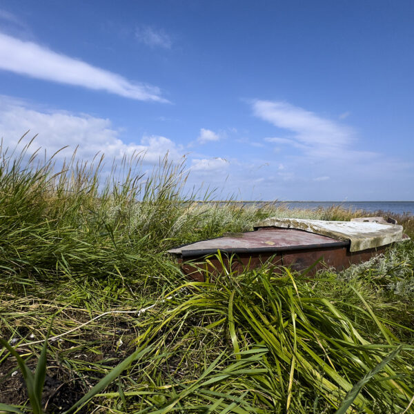 Altes Fischerboot im Schilf am Fyns Hoved auf der Insel Fünen