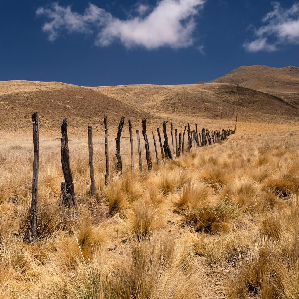 Graslandschaft mit Zaun am Parador Piedra del Molinos in Argentinien