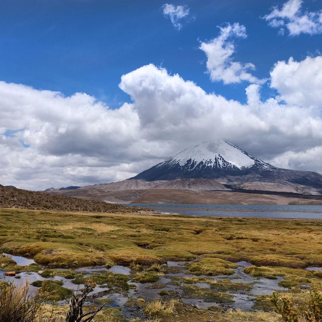 Der Lauca Nationalpark ist mit seinem Vulkan Parinacota der nördlichste Nationalpark Chiles mit Bergen bis zu 6.300 m