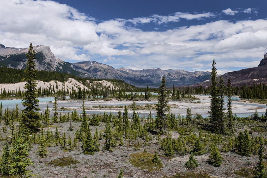 Saskatchewan Crossing in genkanadischen Rocky Mountains