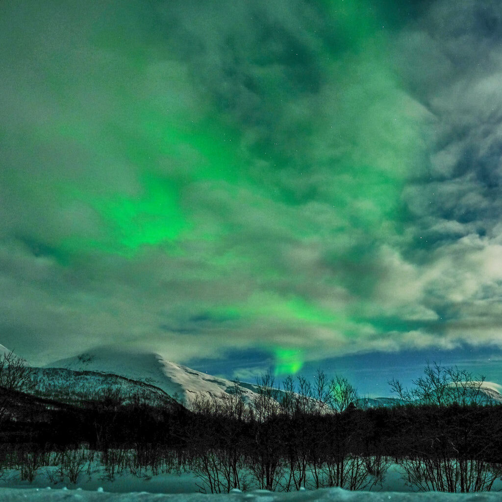 Polarlicht in Tromsoe in Nordnorwegen