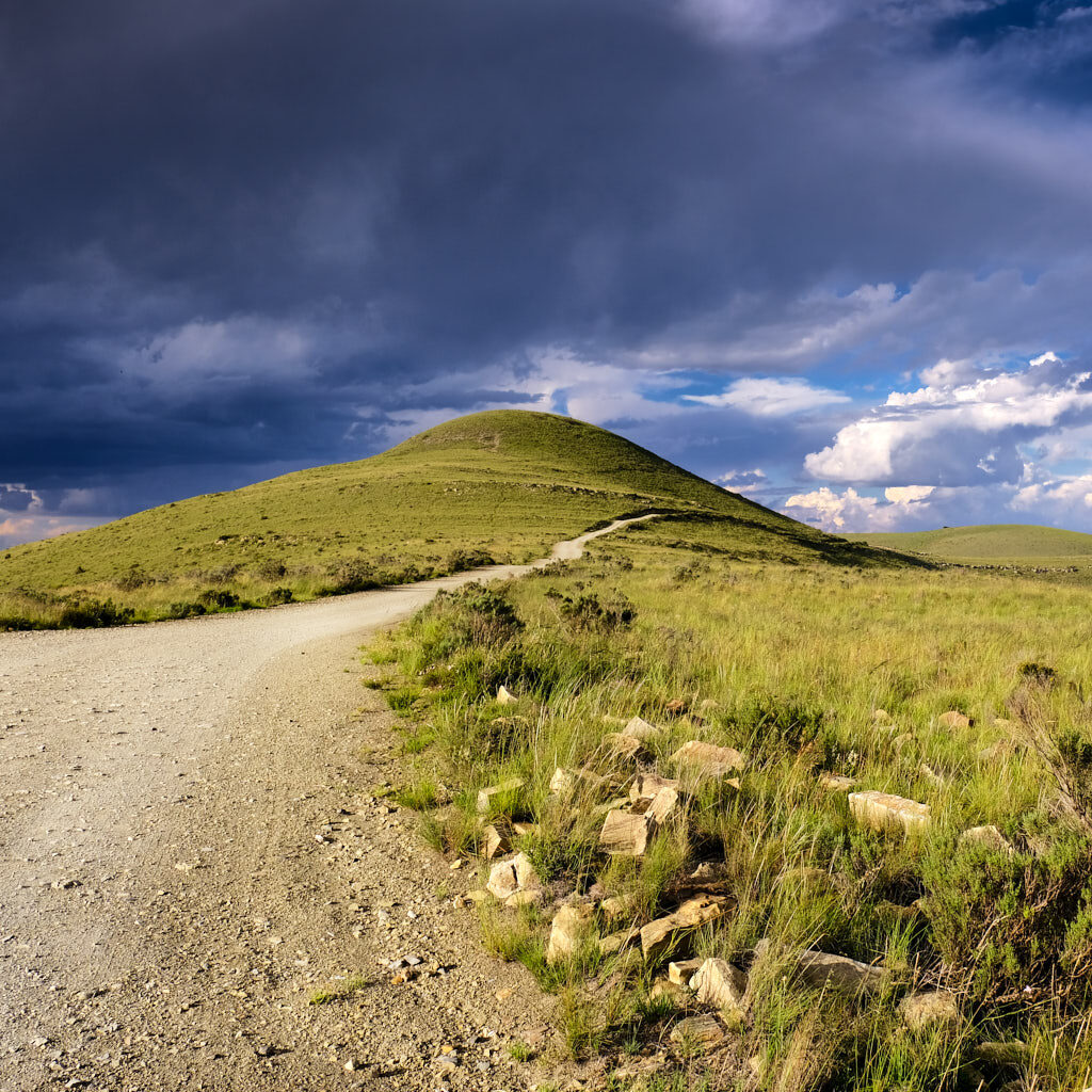 Schotterpiste in grüner Landschaft im Mountain Zebra National Park in Südafrika